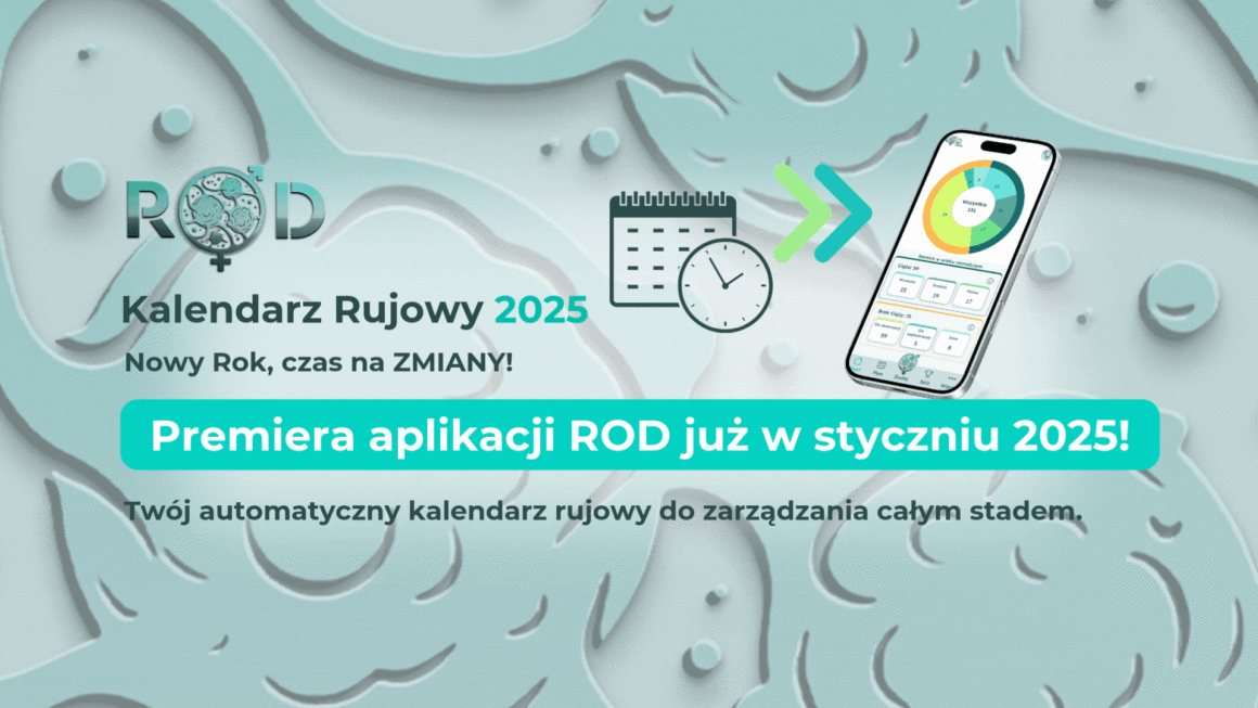 Kalendarz rujowy 2025 – jak skutecznie zarządzać rozrodem w Nowym Roku?