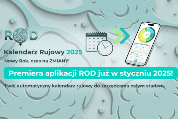 Kalendarz rujowy 2025 – jak skutecznie zarządzać rozrodem w Nowym Roku?